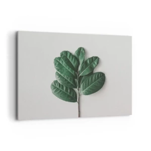 Obraz na płótnie - Gałązka zielonych liści na jasnym tle - 100x70cm - Rysunek samej natury - Nowoczesna dekoracja ścienna do salonu, kuchni i sypialni ARTTOR