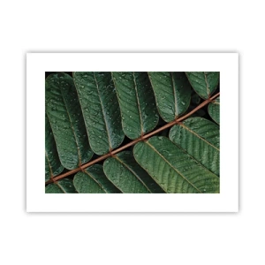 Plakat - W zielonym rytmie - 40x30 cm