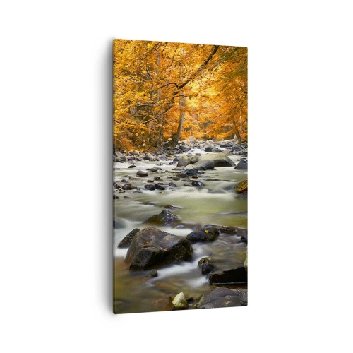 Obraz na płótnie - Potok w złotym lesie - 55x100 cm
