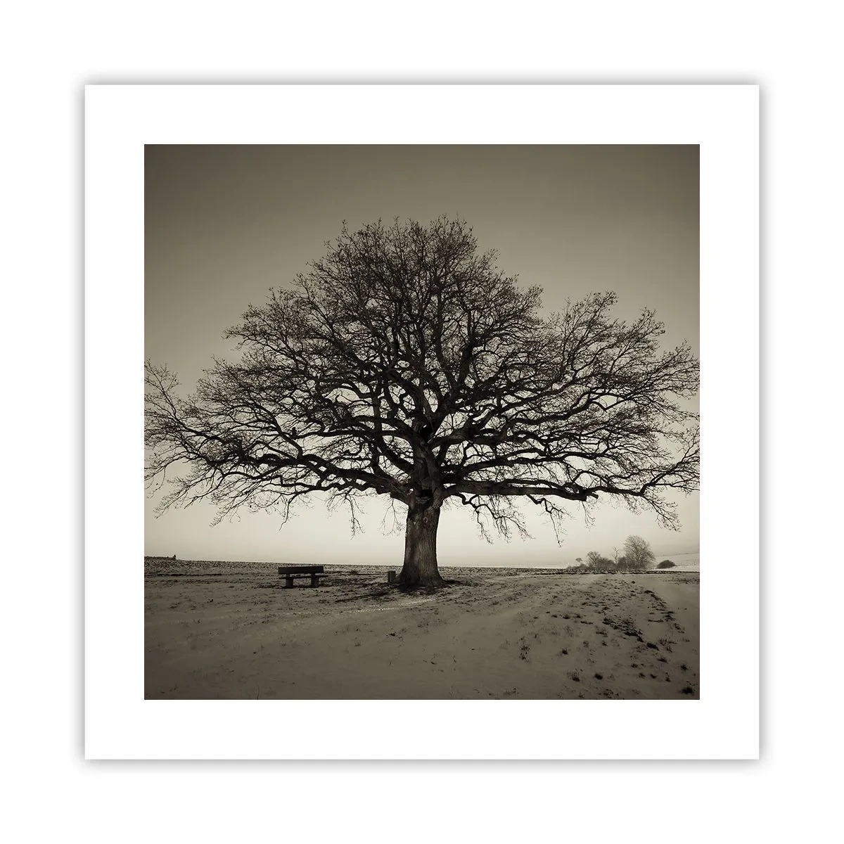 Plakat - Stąd do wieczności - 40x40 cm