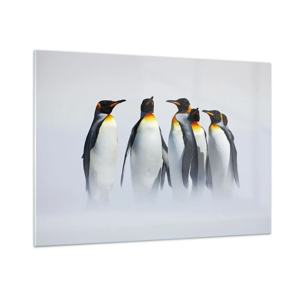 Obraz na szkle - Grupa pingwinów w zimowej scenerii - 100x70cm - Spotkanie w wieczorowych strojach - Nowoczesna dekoracja ścienna do salonu, kuchni i sypialni ARTTOR