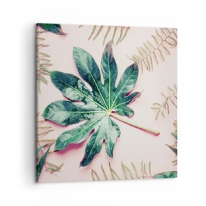 Obraz na płótnie - Studium zieleni na różowym tle - 50x50 cm