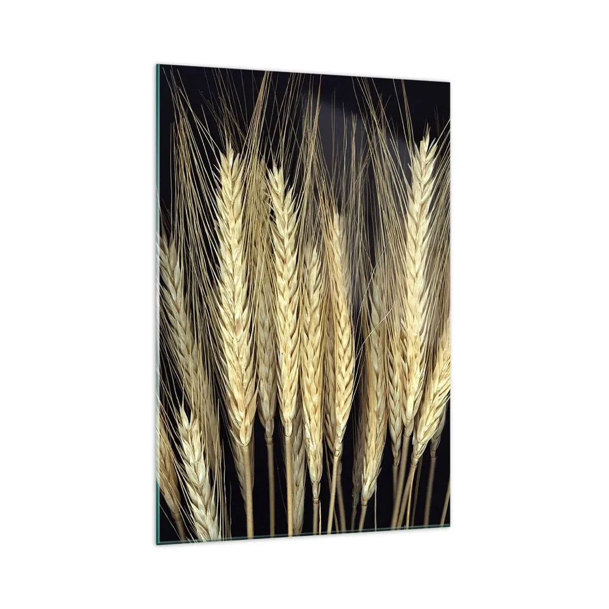 Obraz na szkle - Kłosy pszenicy na czarnym tle w rustykalnym stylu - 70x100cm - Rustykalna magia - Nowoczesna dekoracja ścienna do salonu i sypialni ARTTOR