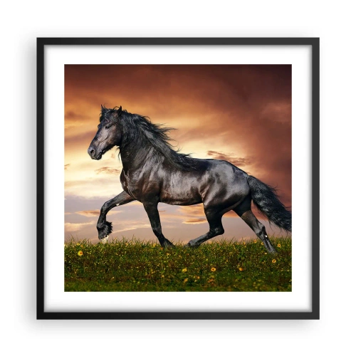 Plakat w czarnej ramie - Czarny książę - 50x50 cm