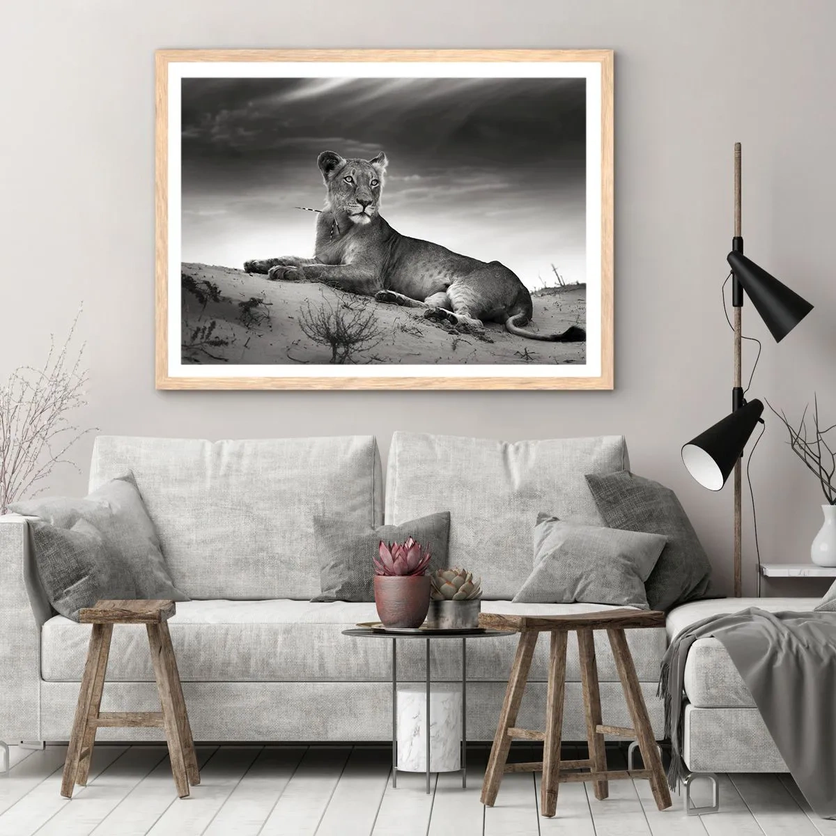 Plakat w ramie jasny dąb - Odpoczynek królowej pustyni - 91x61 cm