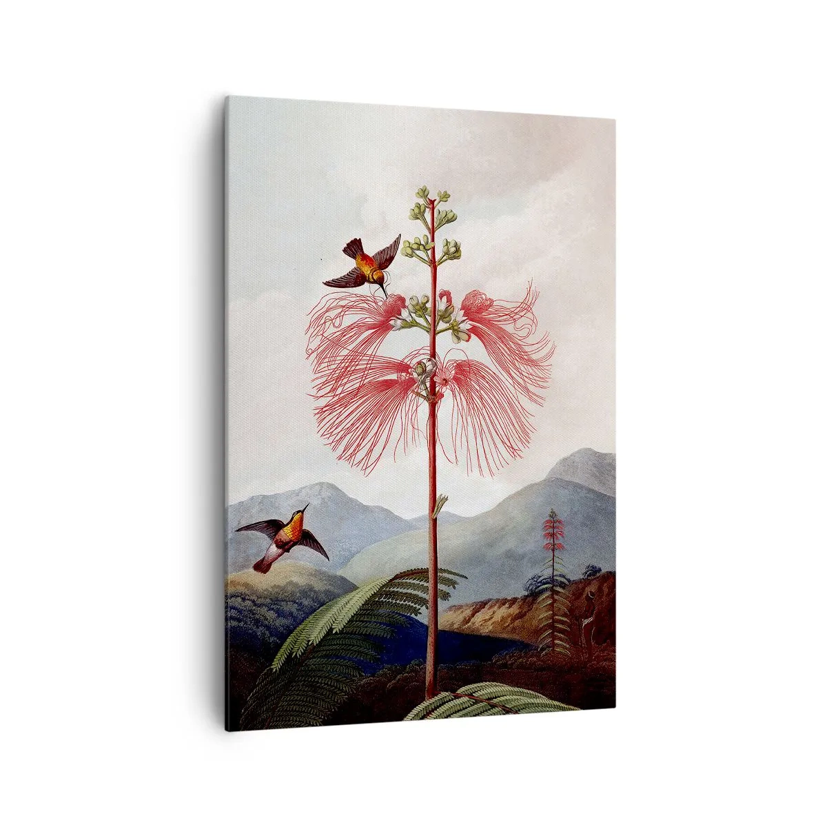 Obraz na płótnie - Ilustracja botaniczna z egzotycznym kwiatem i kolibrami na tle górskiego krajobrazu - 70x100cm - W tropikalnym raju - Nowoczesna dekoracja ścienna do salonu i sypialni ARTTOR