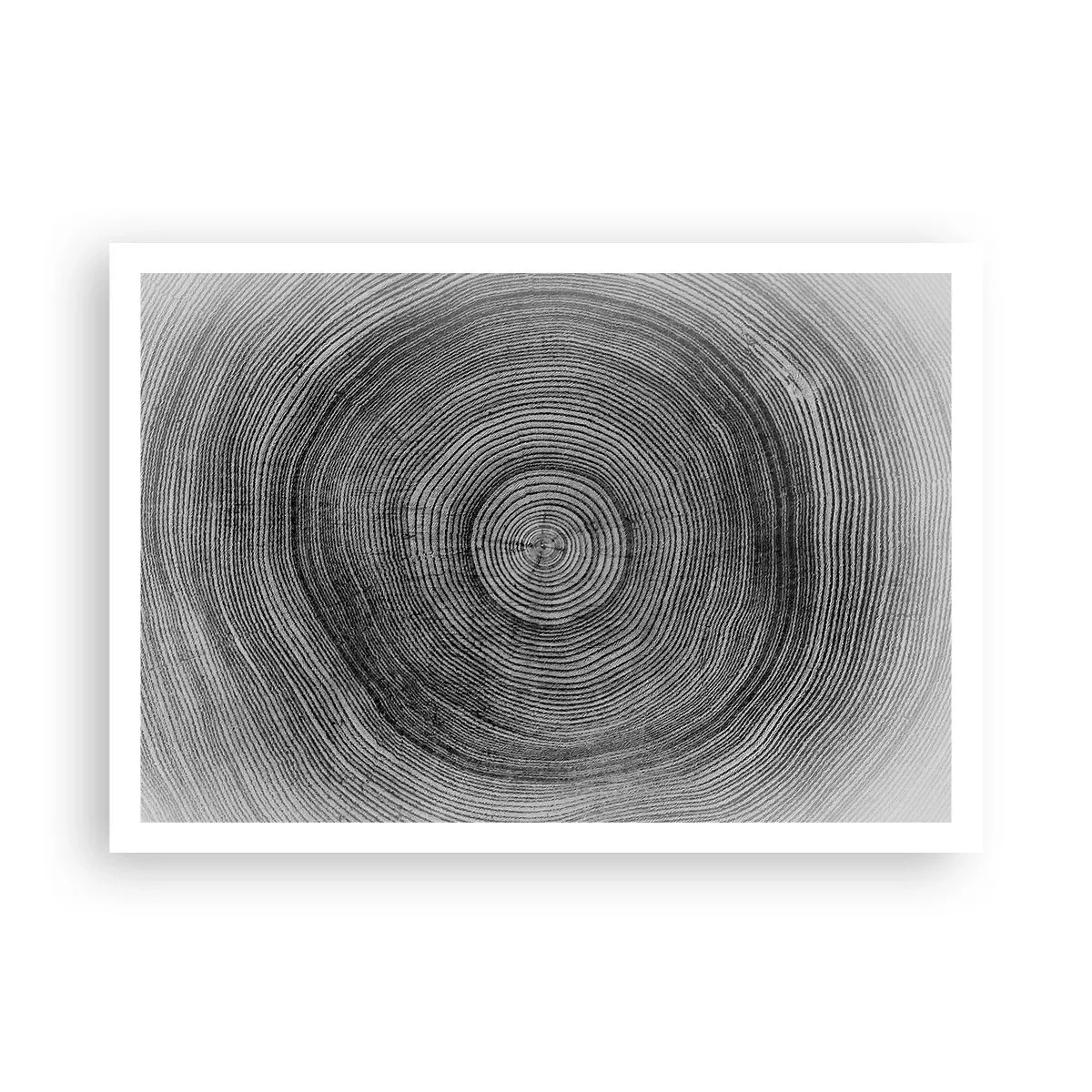 Plakat - Czarno-biały wzór słoja drzewa ukazujący przekrój pnia - 100x70cm - Znak czasu - Nowoczesna dekoracja ścienna do salonu i sypialni ARTTOR