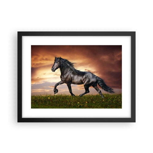 Plakat w czarnej ramie - Czarny książę - 40x30 cm