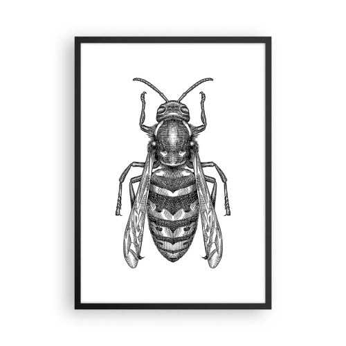 Plakat w czarnej ramie - Szczegółowa ilustracja osy - 50x70cm - Z owadziej planety - Nowoczesna dekoracja ścienna do salonu i sypialni ARTTOR