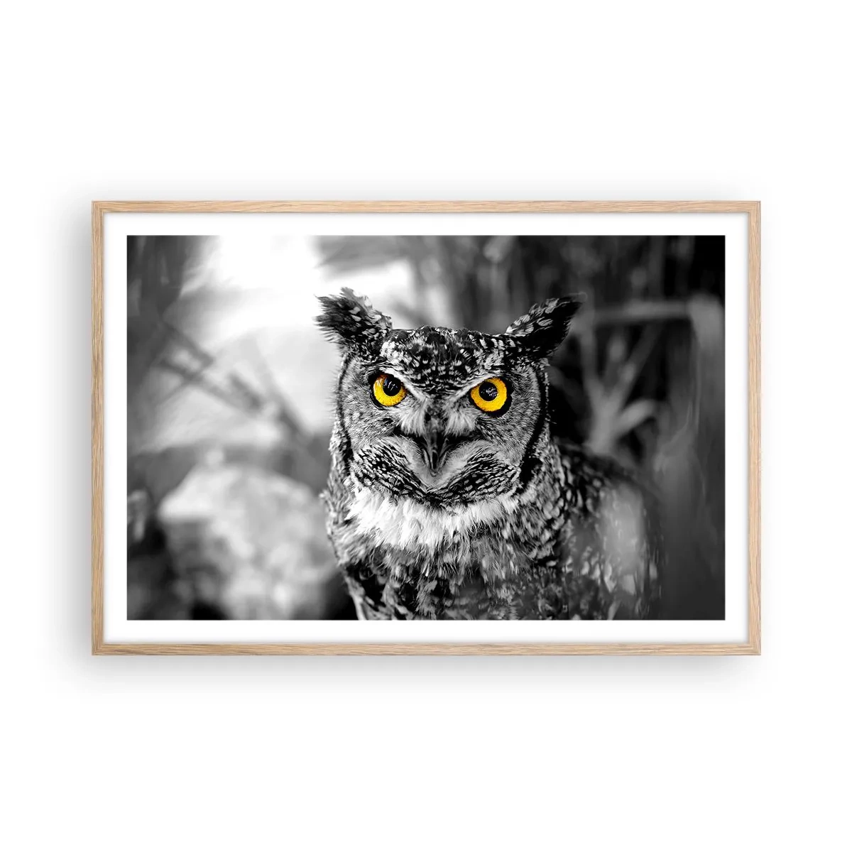 Plakat w ramie jasny dąb - Nic się nie ukryje - 91x61 cm