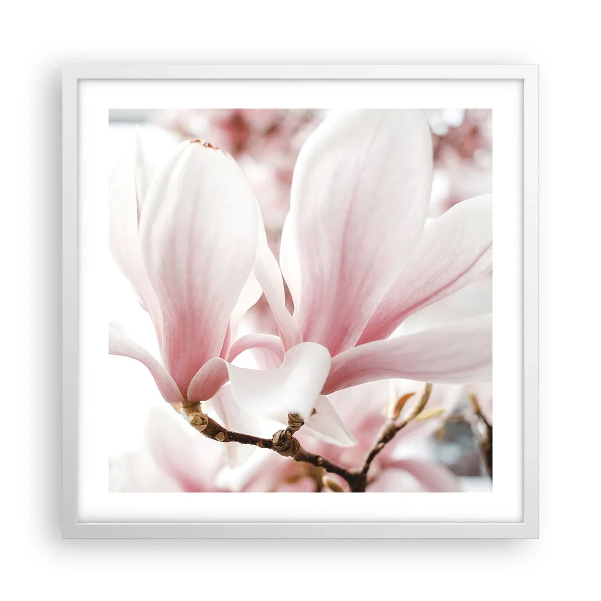 Plakat w białej ramie - Bezmiar czułości - 50x50 cm