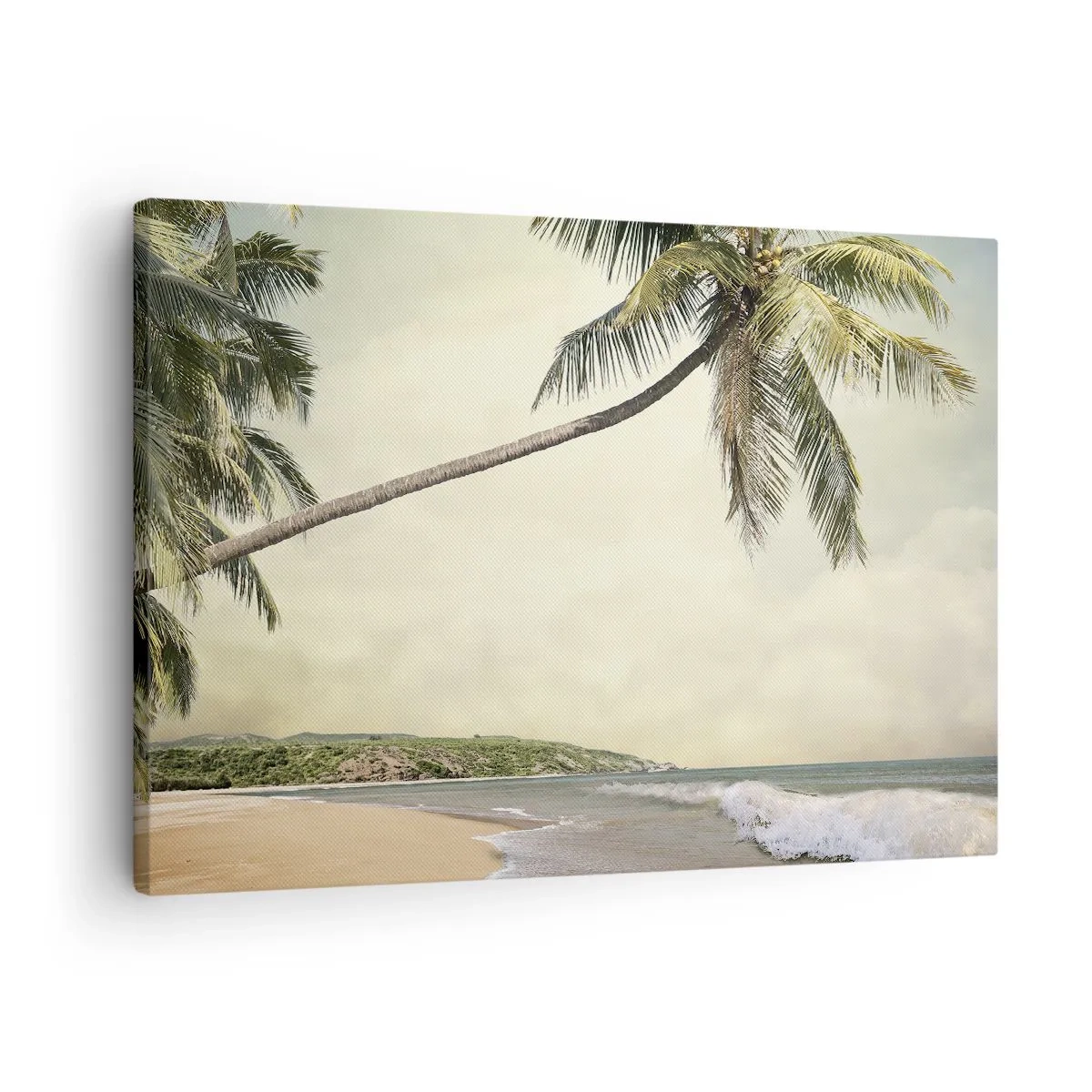 Obraz na płótnie - Plaża z palmami na tle spokojnego morza - 70x50cm - Tropikalne marzenie - Nowoczesna dekoracja ścienna do salonu i sypialni ARTTOR