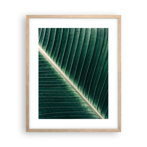 Plakat w ramie jasny dąb - Rytm natury - 40x50 cm