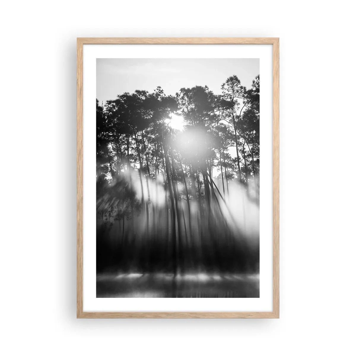 Plakat w ramie jasny dąb - Niepowstrzymane słońce - 50x70 cm