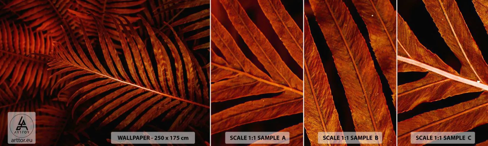 Fototapeta Próbka Standard Eco - Żar życia - Abstrakcja, Liście Palmowe, Roślina Tropikalna - 100x30 cm