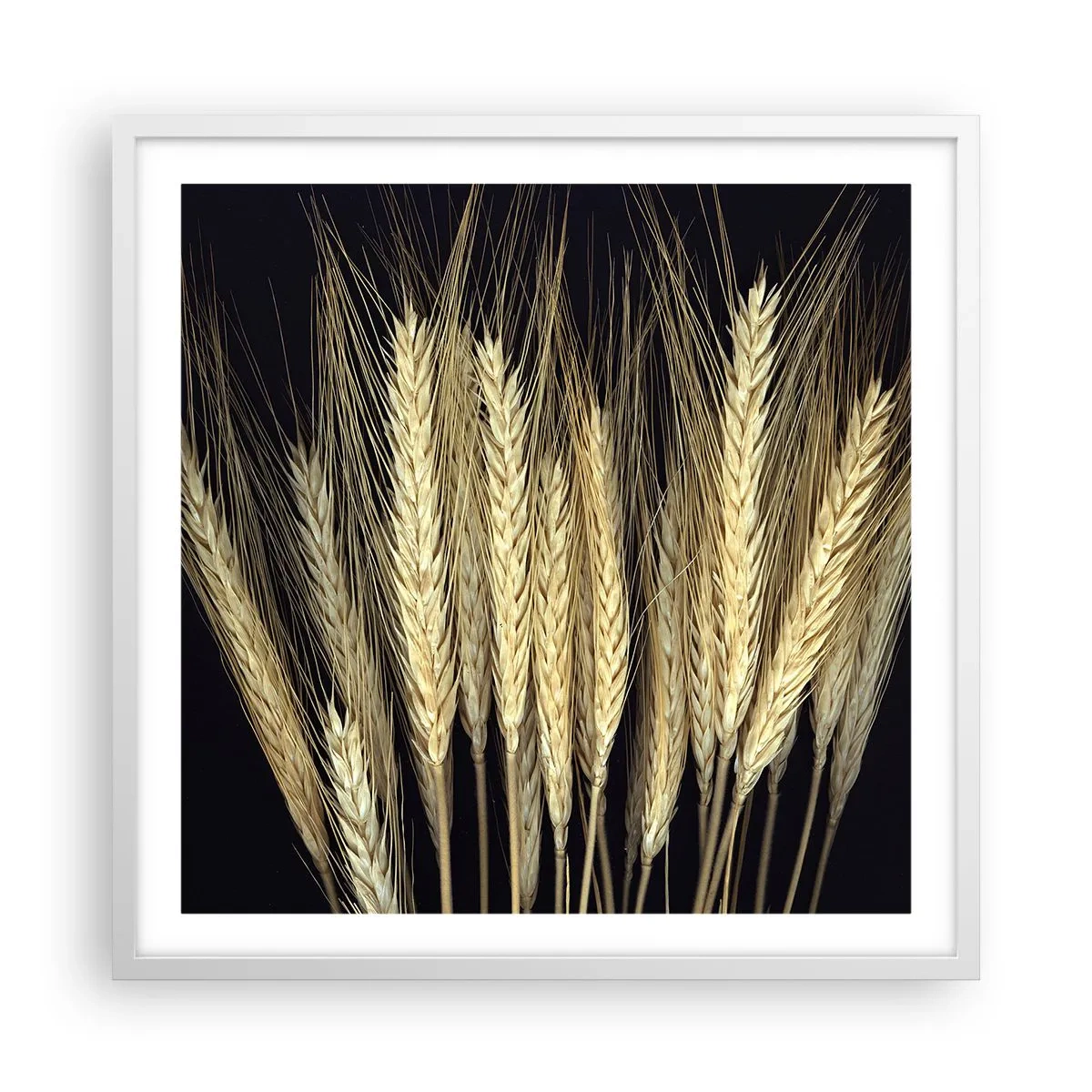 Plakat w białej ramie - Rustykalna magia - 60x60 cm