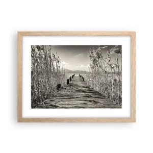 Plakat w ramie jasny dąb - W zaciszu traw - 40x30 cm