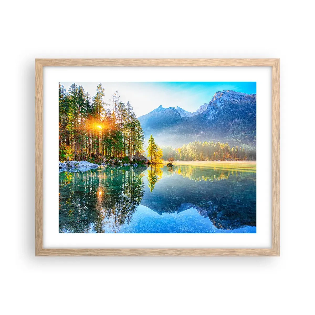 Plakat w ramie jasny dąb - Majestat i słodycz - 50x40 cm