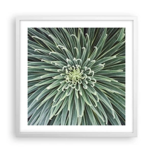 Plakat w białej ramie - Narodziny gwiazdy - 50x50 cm