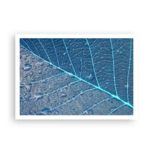 Plakat - Liść w błękitnych odcieniach z kroplami wody - 100x70cm - Życie w błękicie - Nowoczesna dekoracja ścienna do salonu i sypialni ARTTOR