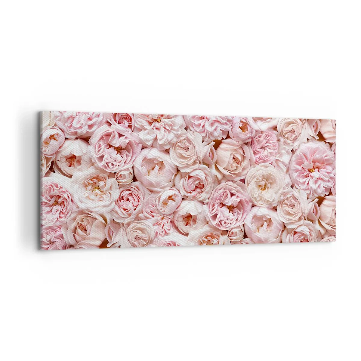 Obraz na płótnie - Delikatne róże w odcieniach różu na całej powierzchni - 120x50cm - Usłane różami - Nowoczesna dekoracja ścienna do salonu i sypialni ARTTOR