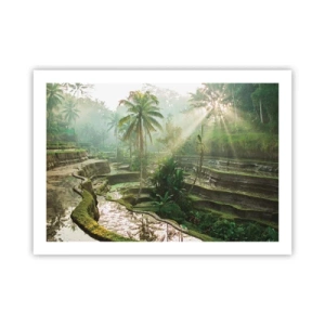 Plakat - Dorastać w słońcu - 70x50 cm