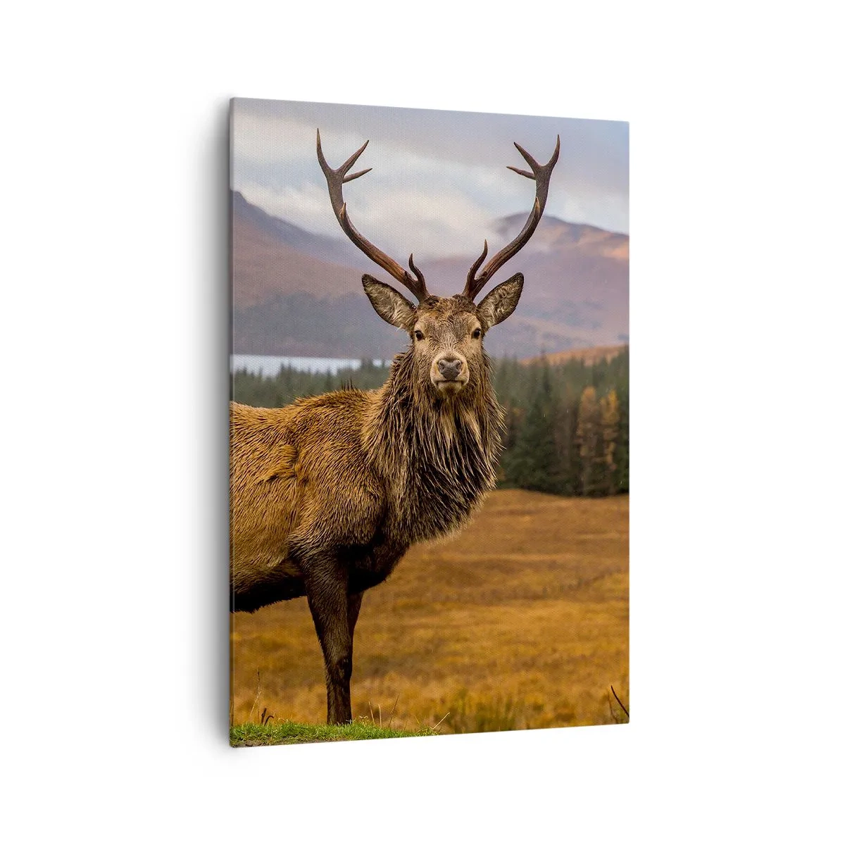 Obraz na płótnie - Jeleń na tle górskiego krajobrazu z jeziorami i lasem - 70x100cm - Majestat natury - Nowoczesna dekoracja ścienna do salonu i sypialni ARTTOR