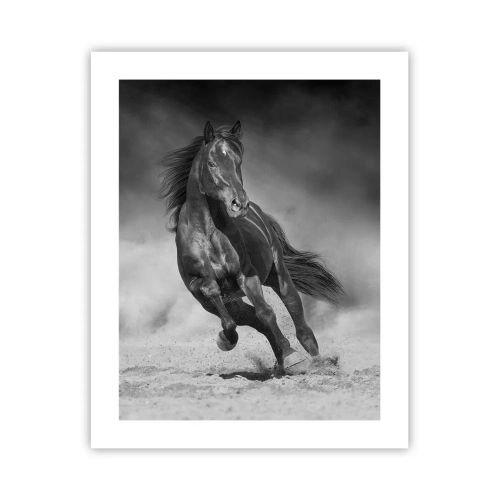 Plakat - Godny samego emira - 40x50 cm