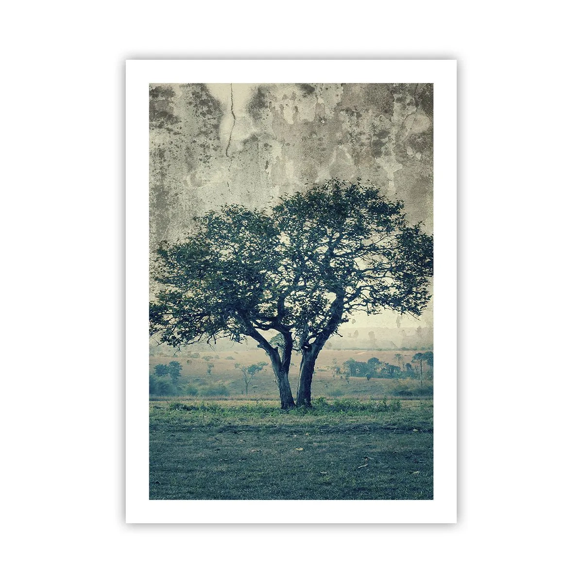 Plakat - Samotne drzewo na tle rustykalnego krajobrazu - 50x70cm - Jabłoń na błękitnym błoniu? - Nowoczesna dekoracja ścienna do salonu, kuchni i sypialni ARTTOR