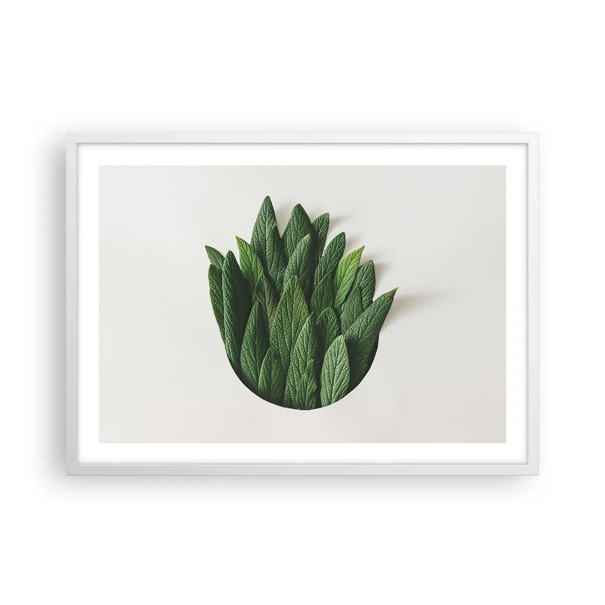 Plakat w białej ramie - Nieposkromiona ciekawość - 70x50 cm