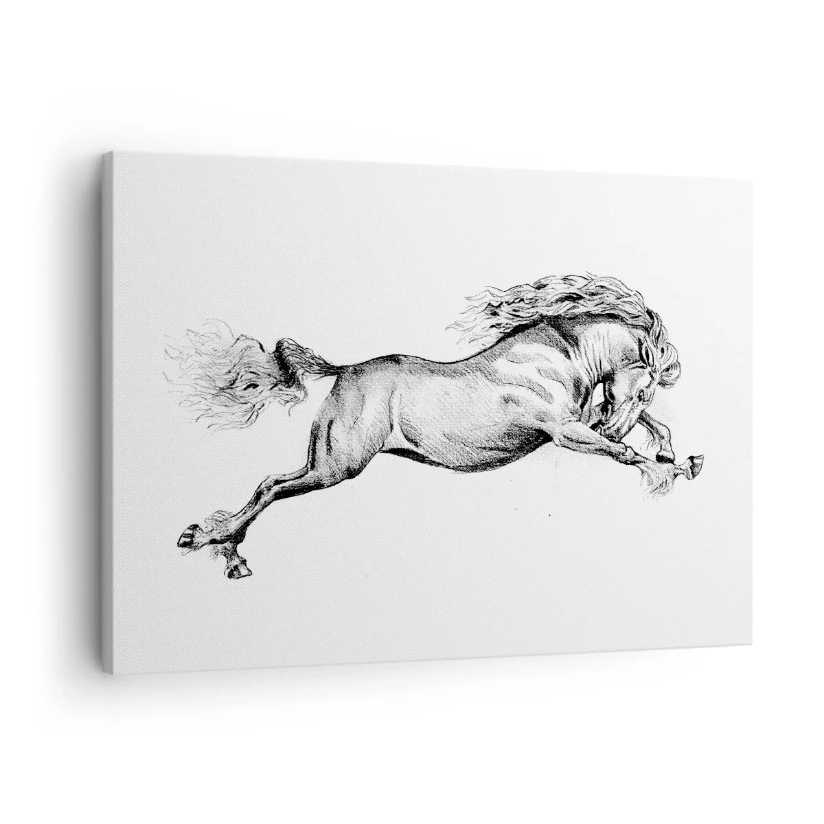 Obraz na płótnie - Szkic konia w dynamicznym galopie na białym tle - 70x50cm - Zatrzymany w galopie - Nowoczesna dekoracja ścienna do salonu i sypialni ARTTOR