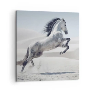 Obraz na płótnie - Arabski książę - 50x50 cm