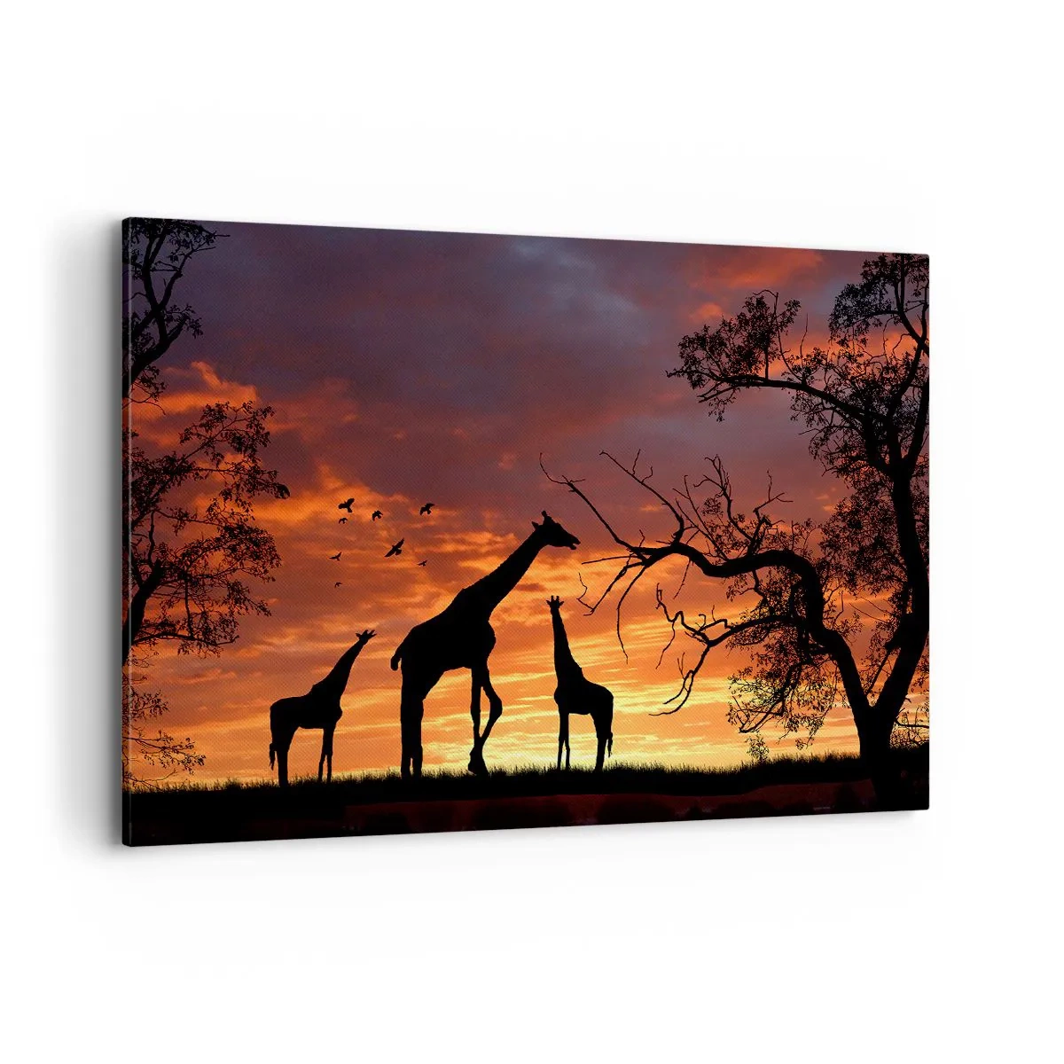 Obraz na płótnie - Sylwetki żyraf na tle zachodzącego słońca w Afryce - 100x70cm - Mała kolacja w gronie najbliższych - Nowoczesna dekoracja ścienna do salonu, kuchni i sypialni ARTTOR