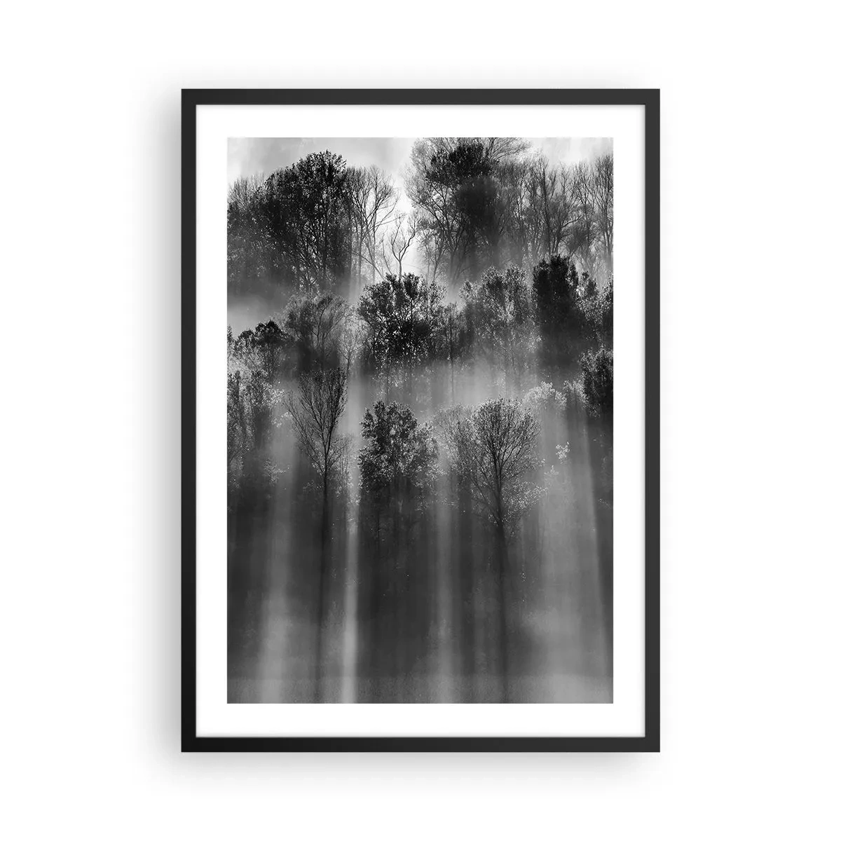Plakat w czarnej ramie - Czarno-biały las we mgle z promieniami słońca - 50x70cm - W strumieniach światła - Nowoczesna dekoracja ścienna do salonu i sypialni ARTTOR