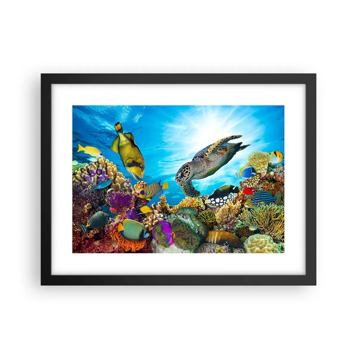 Plakat w czarnej ramie - Koralowa promenada - 40x30 cm