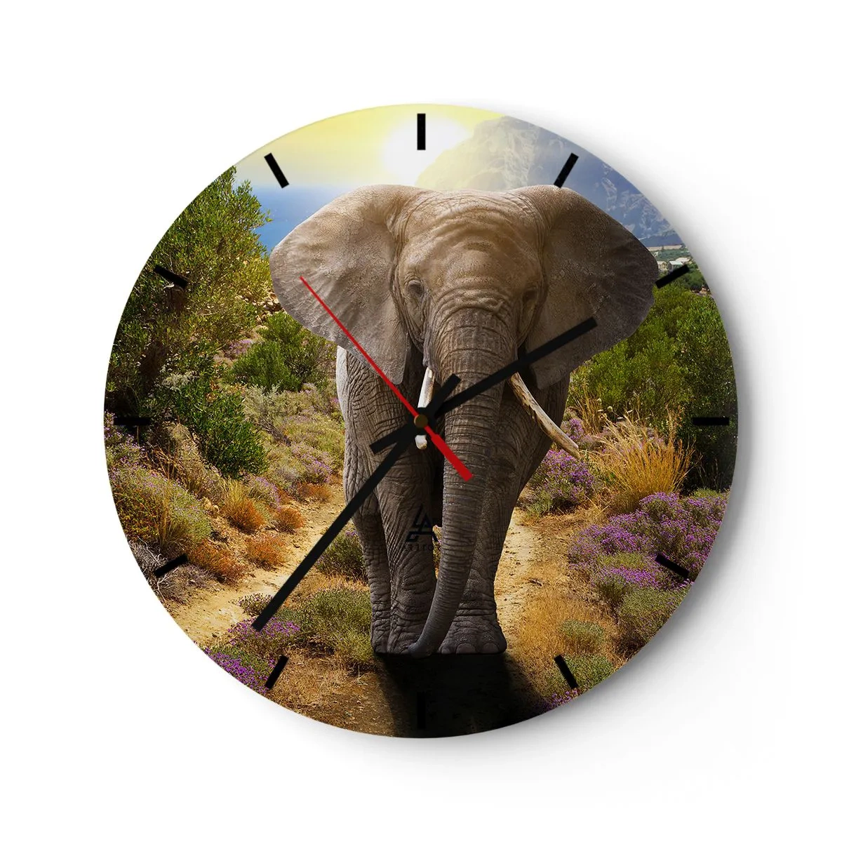 Zegar ścienny - Tak wyglądał Eden - 40x40 cm