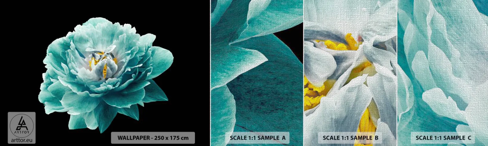 Fototapeta Próbka Premium Canvas - Płatki błękitne i złote - Kwiat, Kwitnący, Piwonia - 100x30 cm