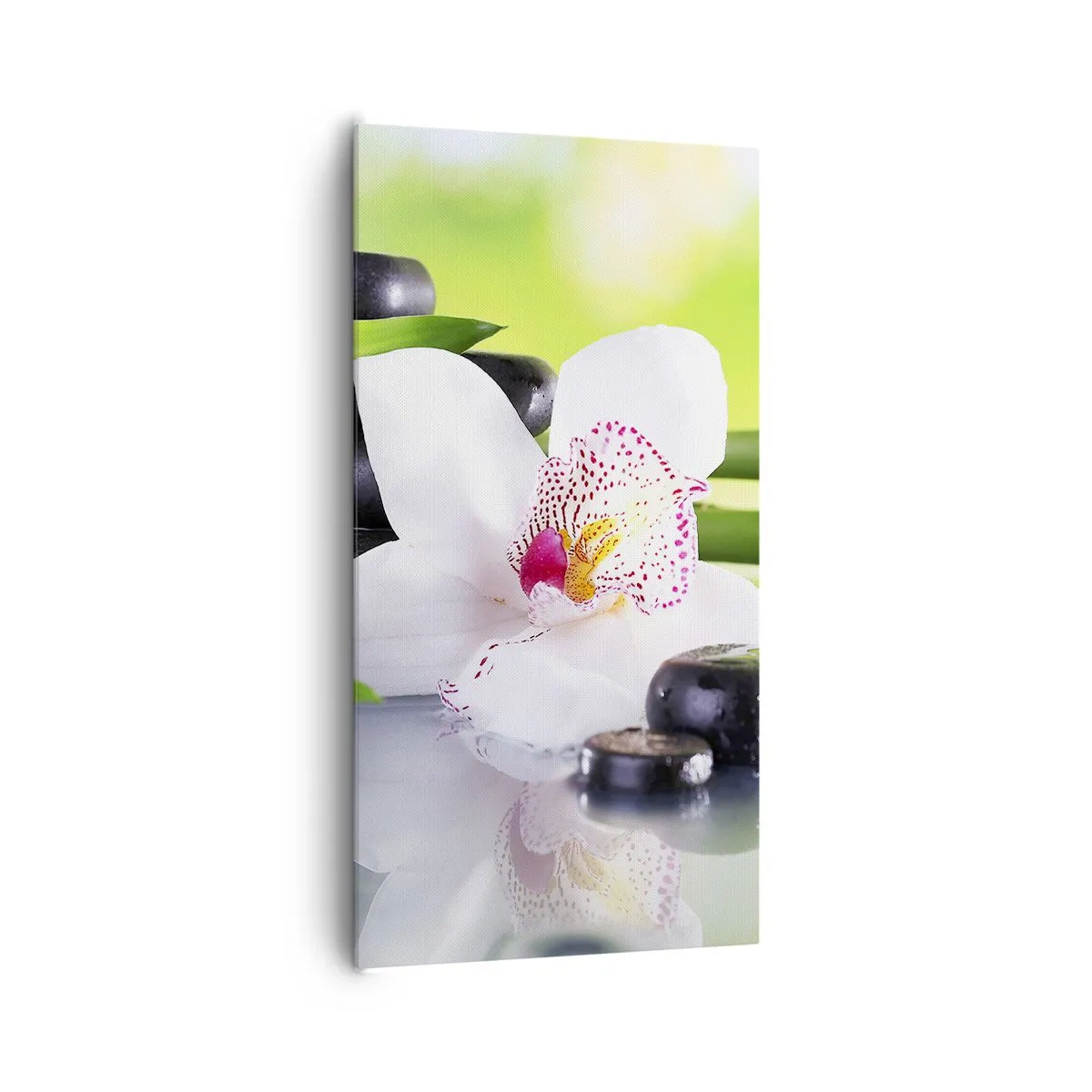 Obraz na płótnie - Chłodna świeżość - 65x120 cm