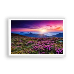 Plakat w białej ramie - Ziół zapachniały świeże pęki od niw - 91x61 cm