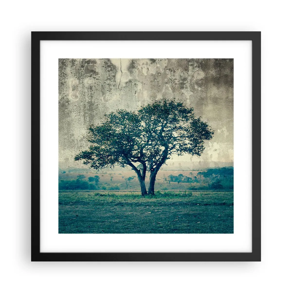 Plakat w czarnej ramie - Jabłoń na błękitnym błoniu? - 40x40 cm