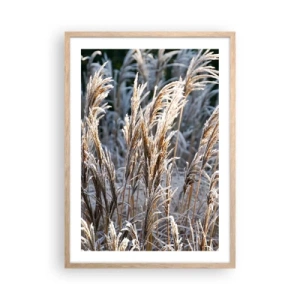 Plakat w ramie jasny dąb - Szronem ustrojone - 50x70 cm
