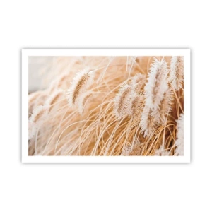Plakat - Złoty szelest traw - 91x61 cm
