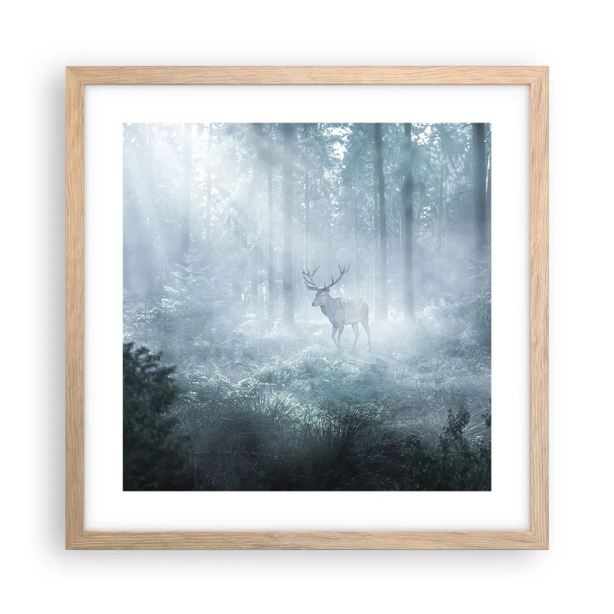 Plakat w ramie jasny dąb - Poranny obchód włości - 40x40 cm
