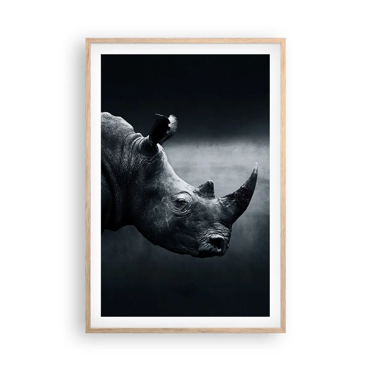 Plakat w ramie jasny dąb - Prawy profil - 61x91 cm