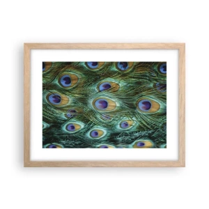 Plakat w ramie jasny dąb - Pawiookie spojrzenie - 40x30 cm