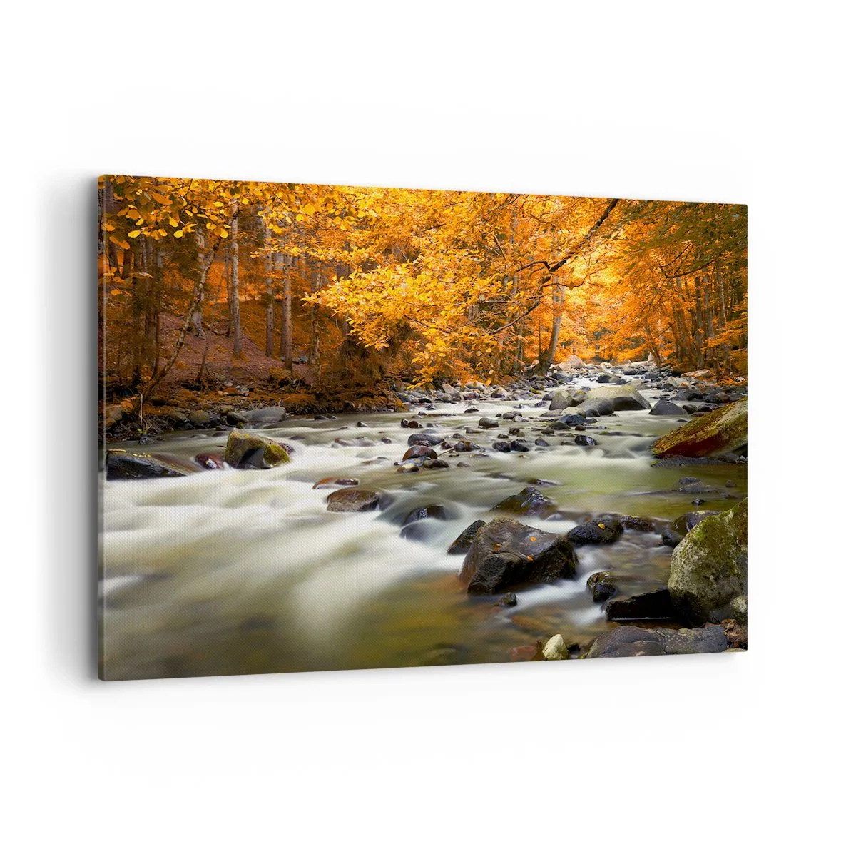 Obraz na płótnie - Strumień w jesiennym lesie otoczony złotymi liśćmi - 120x80cm - Potok w złotym lesie - Nowoczesna dekoracja ścienna do salonu, kuchni i sypialni ARTTOR