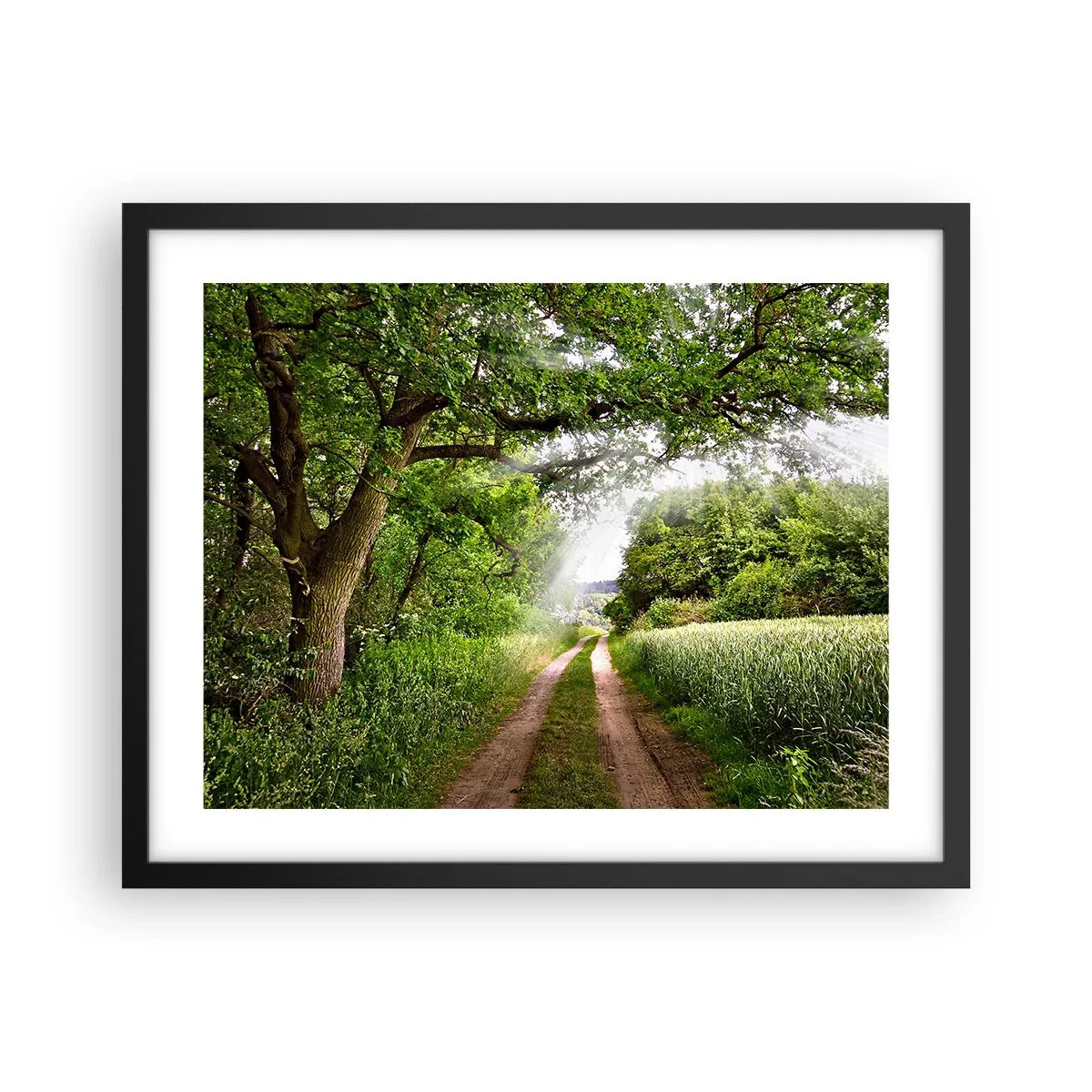 Plakat w czarnej ramie - Et in Arcadia ego - 50x40 cm