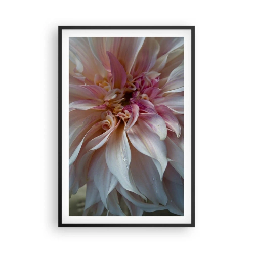Plakat w czarnej ramie - Kwitnąca świeżość - 61x91 cm