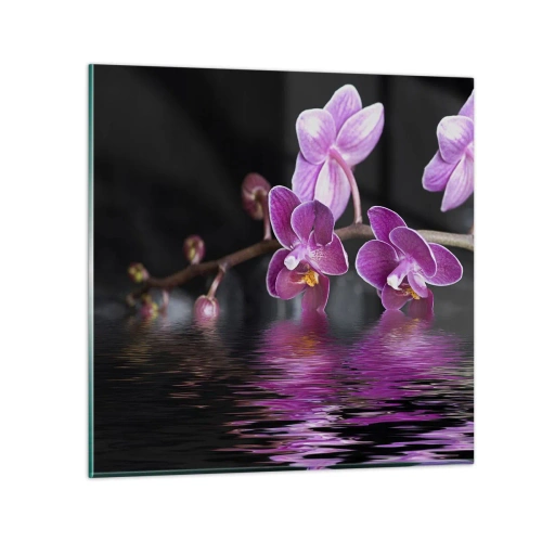 Obraz na szkle - Liliowe odbicie piękna - 40x40 cm