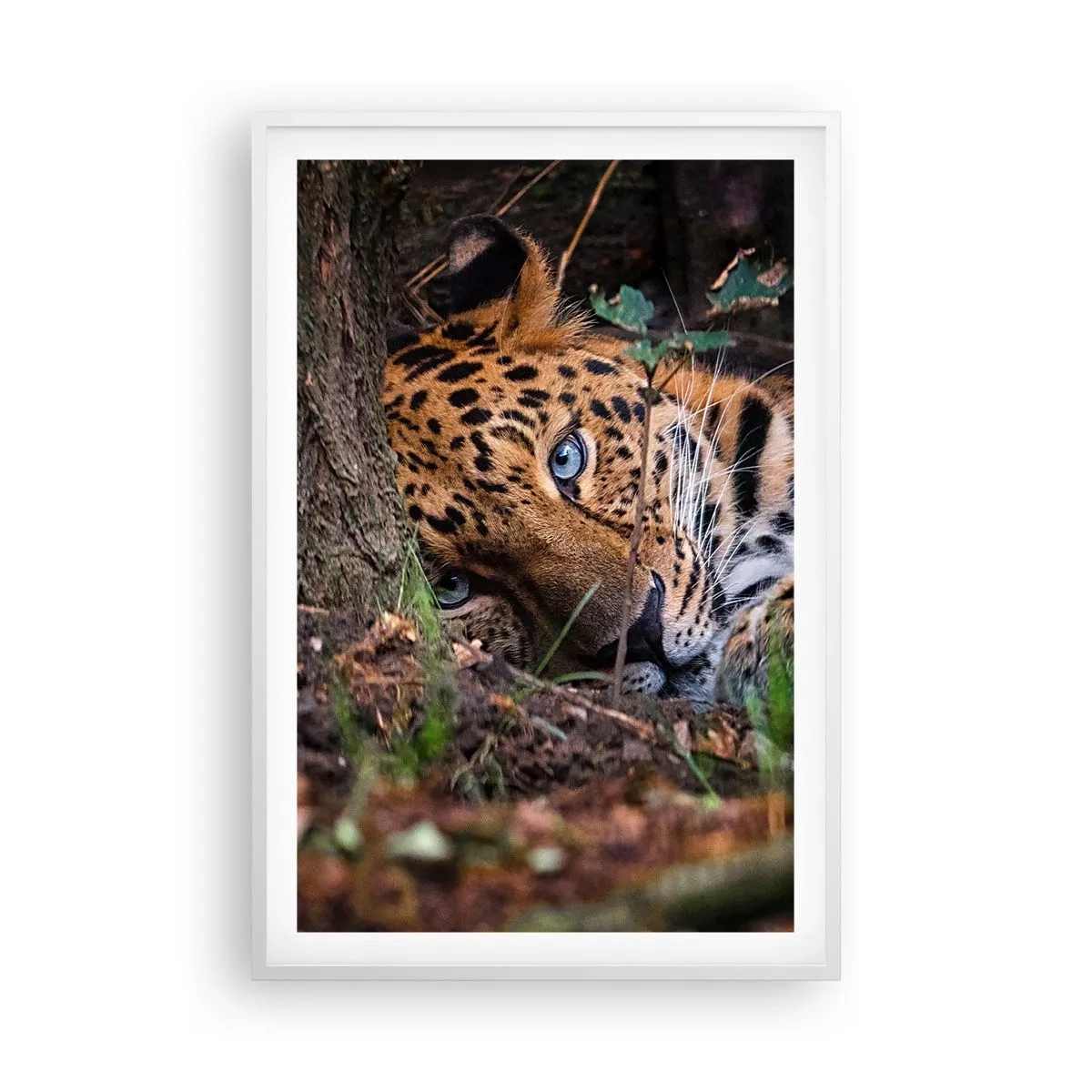 Plakat w białej ramie - Zaufaj mi - 61x91 cm